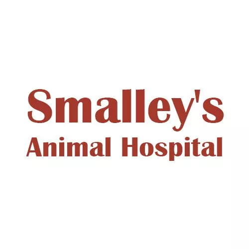 Smalley's Animal Hospital, Georgia, Dublin